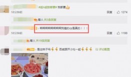 实名cp爆料朱俊畅视频,实名CP爆料背后的真相揭秘